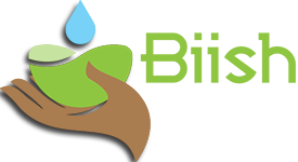 Logo, Biish Management & Consulting